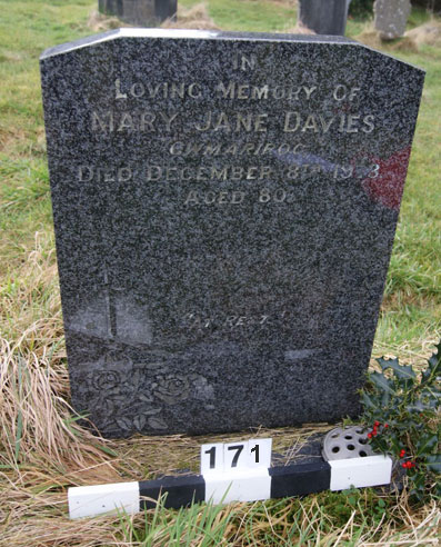 171 Mary Jane Davies