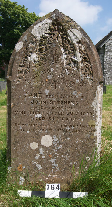 John Stephens
